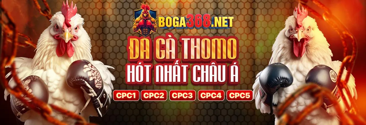Cá cược thể thao Kinh88